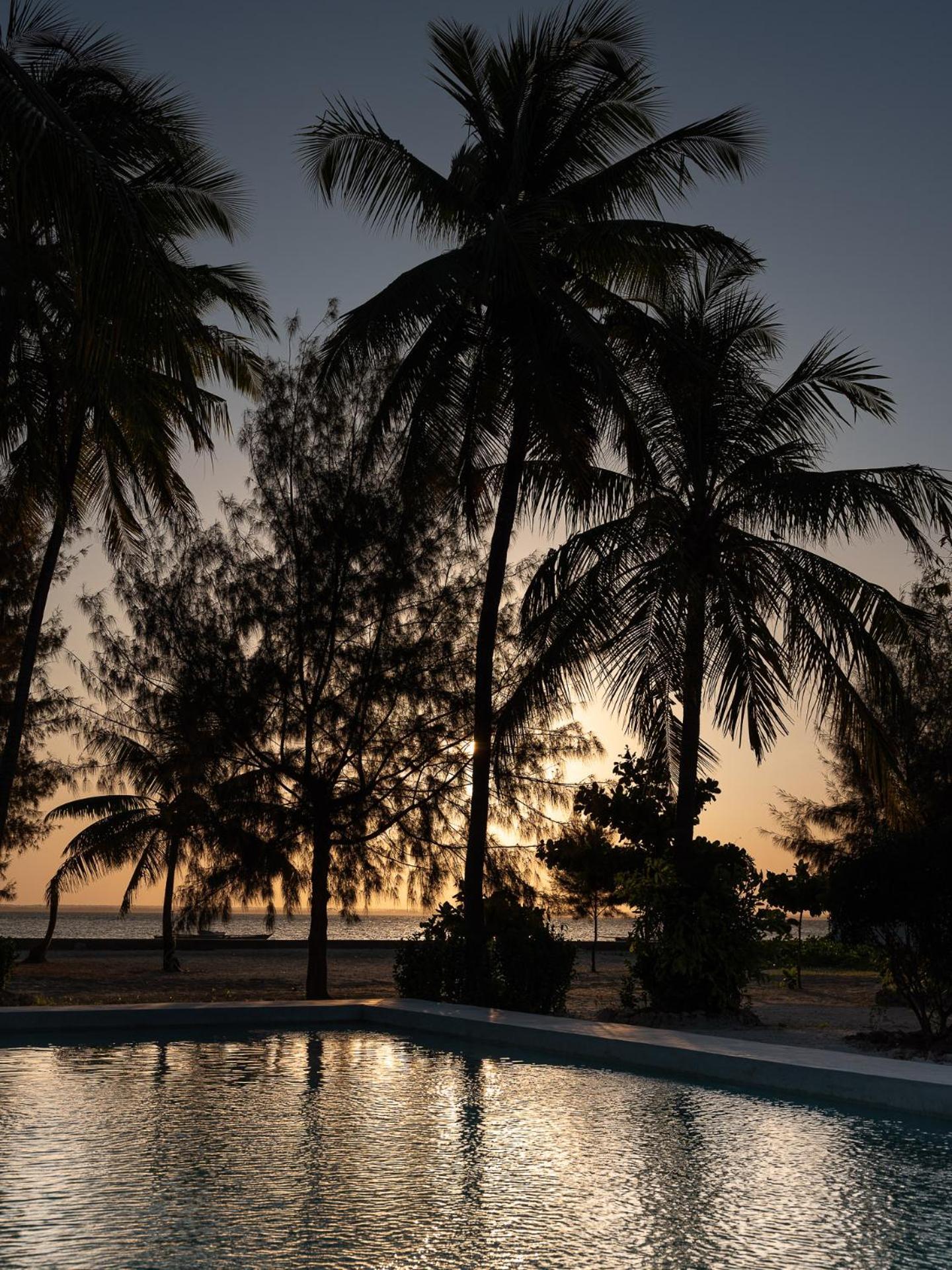 Bahati Sunset Bungalows Michamvi Bagian luar foto